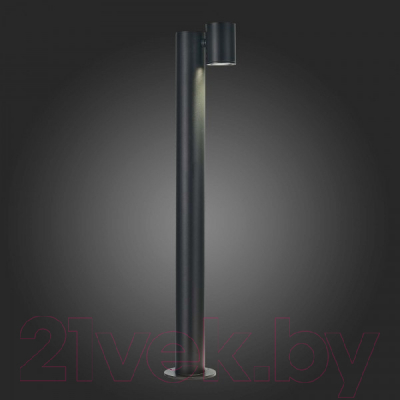 Светильник уличный ST Luce SL9003.405.01