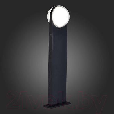 Светильник уличный ST Luce SL9510.405.01