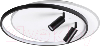 Потолочный светильник Lumion Naoko 5603/75CL - фото