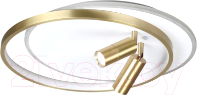 Потолочный светильник Lumion Naoko 5603/63CL - фото
