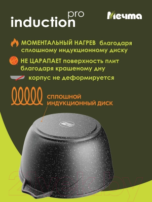 Кастрюля Мечта Гранит Induction Pro M45802И (черный)