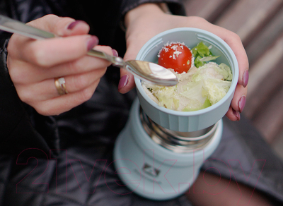 Термос для еды Арктика 311-500-CN