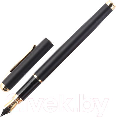 Ручка перьевая Luxor Marvel / 8232 - фото