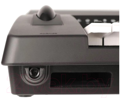 Синтезатор Medeli A810