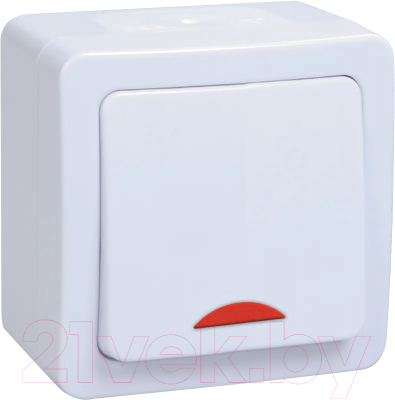 Выключатель IEK Гермес Plus EVMP11-K01-10-54-EC - фото