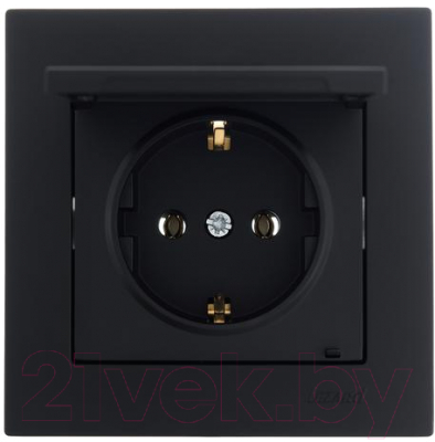 Розетка Lezard Mira 701-4242-123B