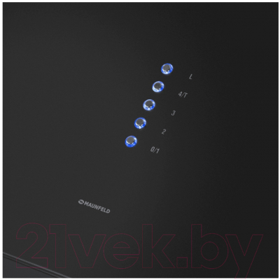 Вытяжка коробчатая Maunfeld Bath 402