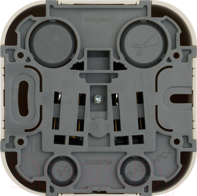 Розетка Legrand Quteo 782241