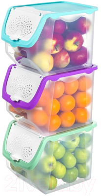 Набор контейнеров El Casa 640137-3 (бирюзовый/фиолетовый/фисташковый)