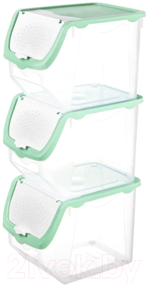Набор контейнеров El Casa 640185_3 (фисташковый)