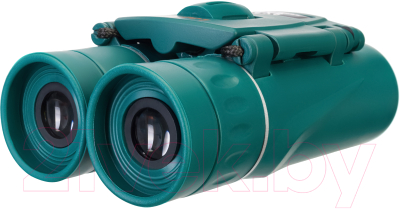 Бинокль Levenhuk LabZZ B5 / 1113873