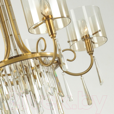 Люстра Odeon Light Nicole 4886/5