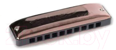 Губная гармошка Seydel Sohne Session Antique Bb / 10201BB-antiq - фото