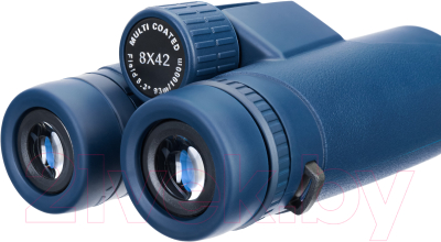 Бинокль Discovery Elbrus 8x42 / 1116577