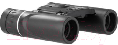 Бинокль Helios 8х22 (HS 8x22) / 1105501