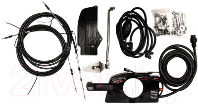 Мотор лодочный Toyama T30AFWS