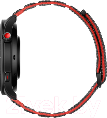Умные часы Amazfit GTR 4 / A2166 (серый)
