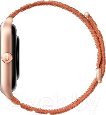 Умные часы Amazfit GTS 4 / A2168 (коричневый)