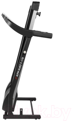 Электрическая беговая дорожка Alpin Glace T-176