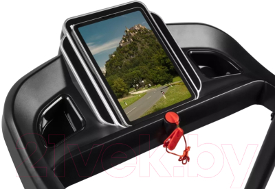 Электрическая беговая дорожка Alpin Glace T-176