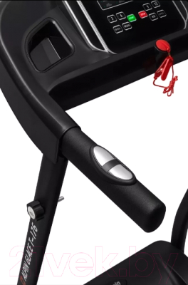 Электрическая беговая дорожка Alpin Glace T-176