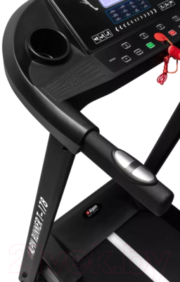 Электрическая беговая дорожка Alpin Runner T-178