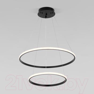 Потолочный светильник Евросвет 90264/2 (черный) - фото