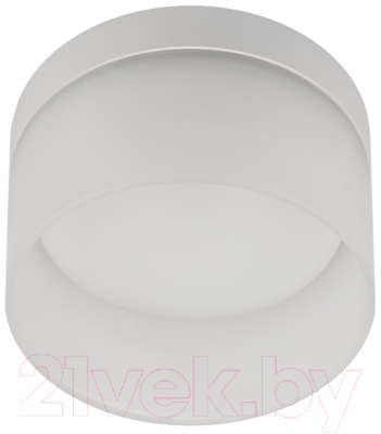 Точечный светильник ЭРА DK98 WH / Б0056348 - фото