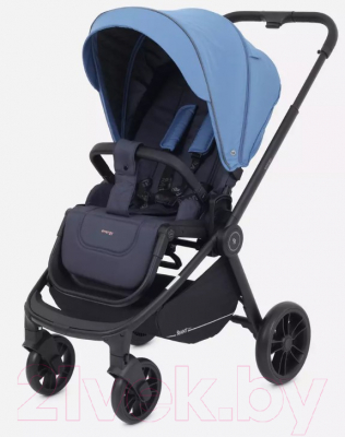 Детская универсальная коляска Rant Energy Basic 2 в 1 / RA091 (синий)