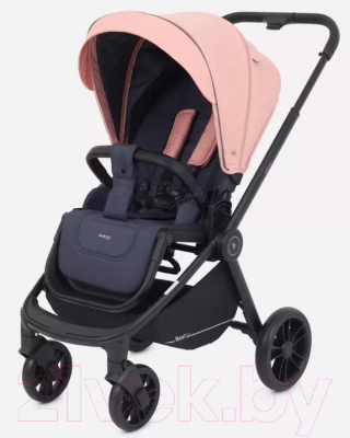 Детская универсальная коляска Rant Energy Basic 2 в 1 / RA091