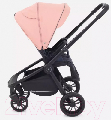 Детская универсальная коляска Rant Energy Basic 2 в 1 / RA091