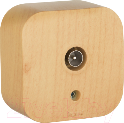 Розетка Legrand Quteo 782269 - фото