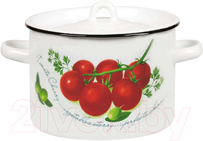 Кастрюля СтальЭмаль 1с17с (белый) - фото