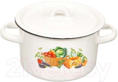 Кастрюля СтальЭмаль 1с17с (белый)