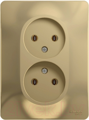 Розетка Schneider Electric Glossa GSL000420 - фото