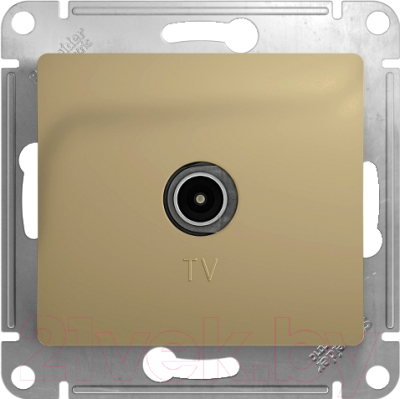 Розетка Schneider Electric Glossa GSL000491 - фото