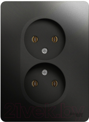 Розетка Schneider Electric Glossa GSL000720 - фото