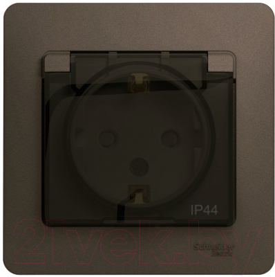 Розетка Systeme (Schneider) Electric Glossa GSL000848 - фото