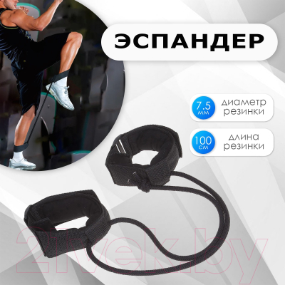 Эспандер Onlytop 1346943