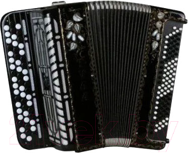 Баян Тульская гармонь Тула-210 55x100-II / BN-39-BK - фото
