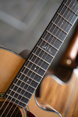 Электроакустическая гитара Cort Gold-A6-Bocote-WCASE-NAT