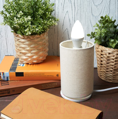 Лампа Rexant 604-028