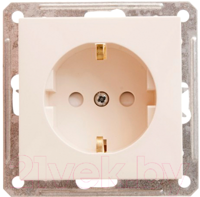 Розетка Schneider Electric W59 RS16-152-2-86 - фото