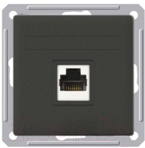 Розетка Schneider Electric W59 RSI-152T-6-86 - фото