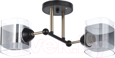 Потолочный светильник Mirastyle WX-8034/2 BK+FG - фото