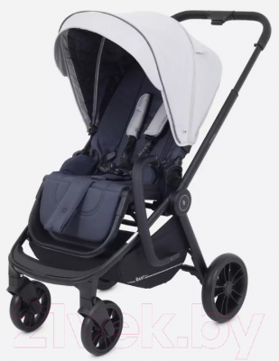 Детская универсальная коляска Rant Energy Basic 3 в 1 / RA092 (серый)