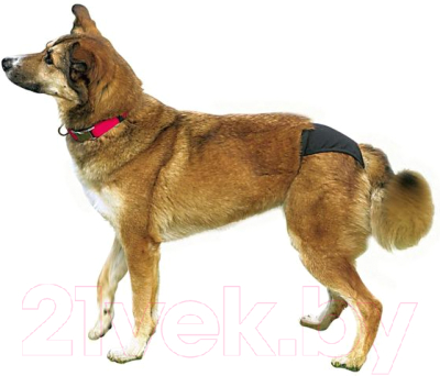 Гигиенические трусики для животных Trixie 23495