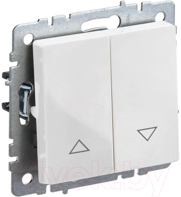 Выключатель IEK Brite BR-V15-0-10-K01 - фото