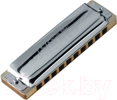 Губная гармошка Seydel Sohne 1847 Classic A Paddy Richter / 16206A - фото