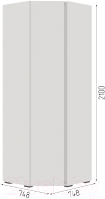 Шкаф Стендмебель Хелен ШК 04 угловой (белый/белый)